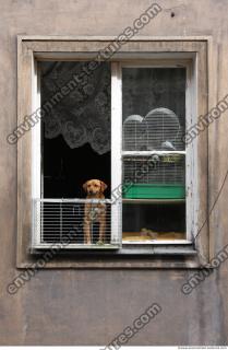 Photo Texture of Window 0016